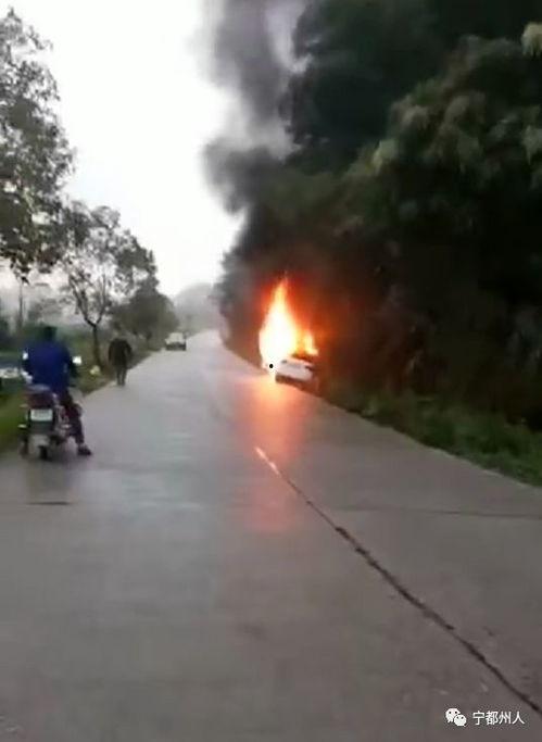 长沙女司机爆料视频,揭露城市交通乱象背后的真相  第2张